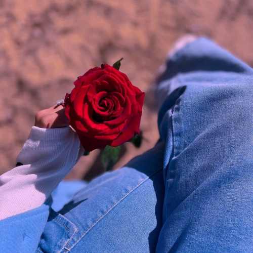 دانلود آهنگ رخصت از لبت بوسه بچینم گل نازم